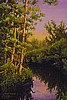 Midas Mangroves