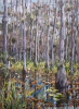 Cypress Serenity