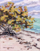 Pink Sand