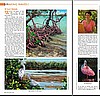 Times of the Islands magazine
