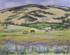 Mountain Pastures