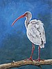 Moonlight Ibis