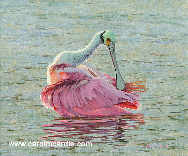 Roseate Spoonbill Art Roseate Spoonbill Art