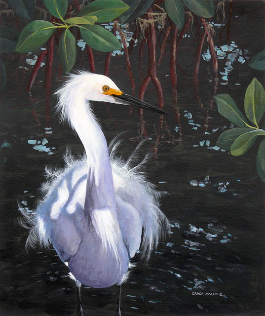 Egret in The Cool