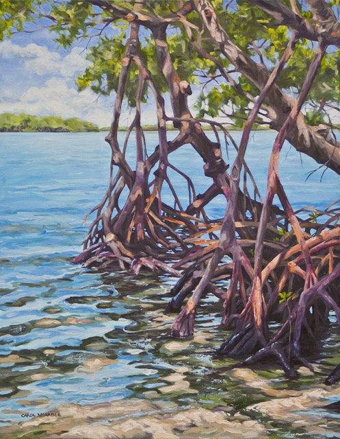 Hickory Island Mangroves 28"x22"