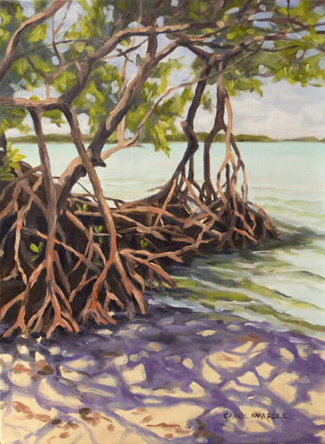 Mangrove Muse