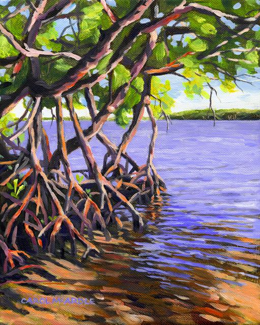 Mangroves Ripples