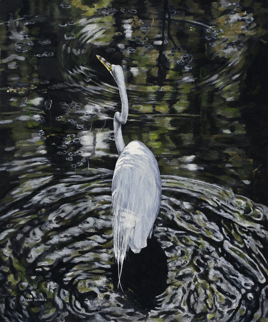Movement and Stillness in the Swamp 20" x 16" Giclee print on stretched canvas