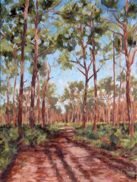 Pine Tree Shadows
