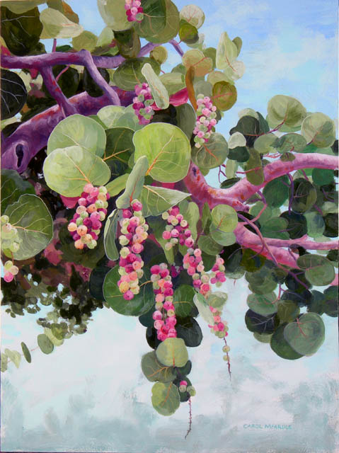 Sea Grapes in Soft Light