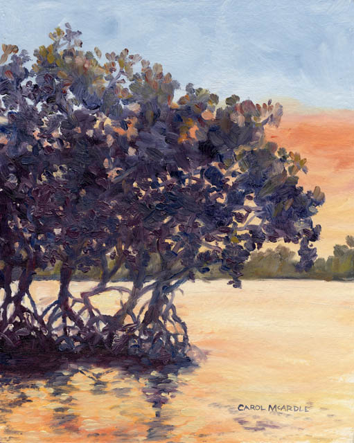 Watching Sunset with the Mangroves