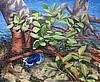 Blue in The Corner 24"x30"