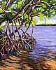 Mangroves Ripples