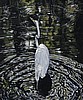 Movement and Stillness in the Swamp 20" x 16" Giclee print on stretched canvas