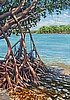 Shadows at Low Tide 40"x28"
